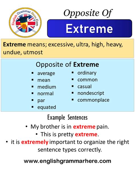 inept antonym|opposite of socially inept.